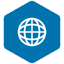 Global icon